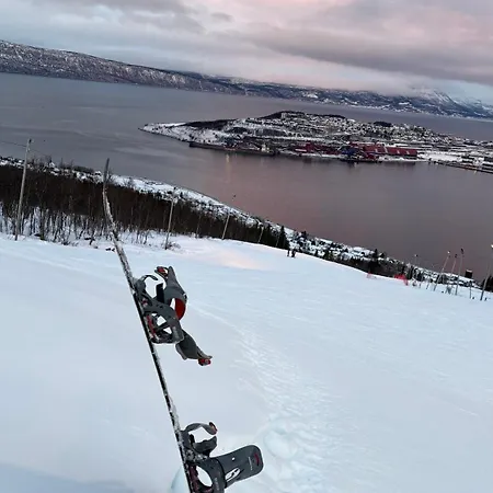 Panorama Narvik