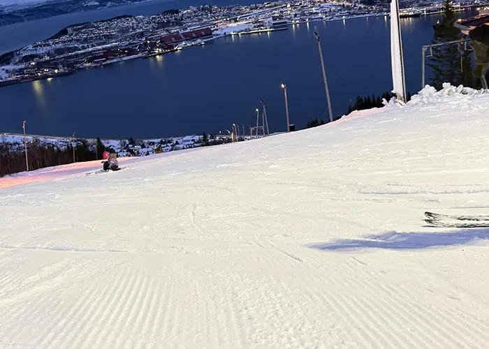 Panorama Leilighet *